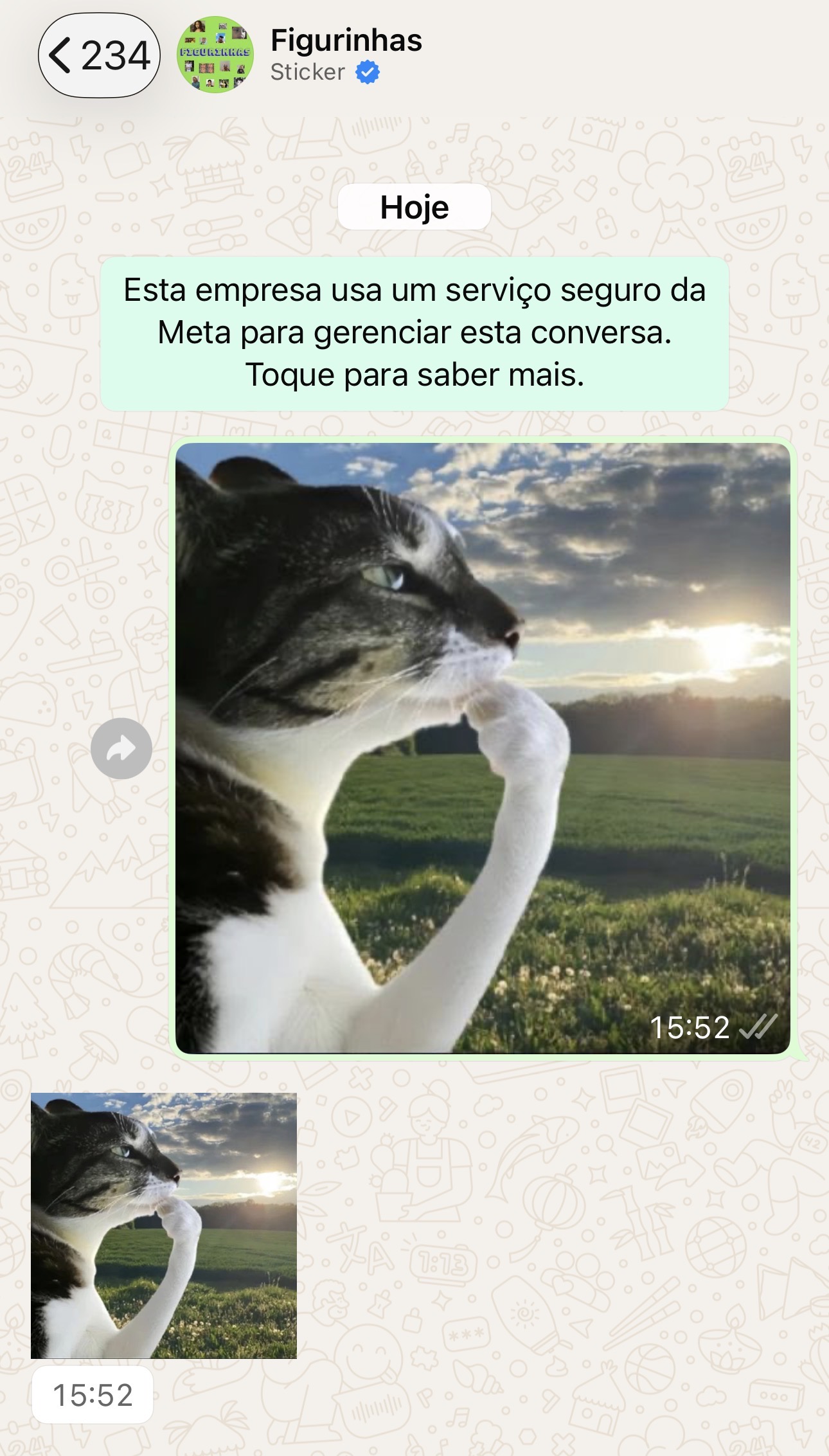 Conversa real no WhatsApp gerando figurinha